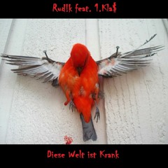 Rud!k feat. 1.Kla$ - Diese Welt ist Krank