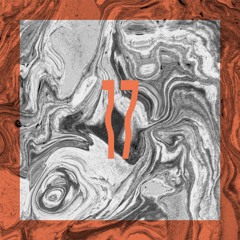 AVION for strœmung_radio N 17
