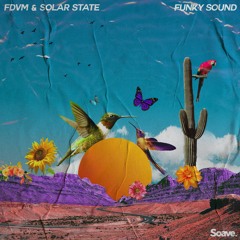 FDVM & Solar State - Funky Sound