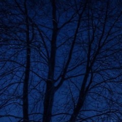 i've been dead before