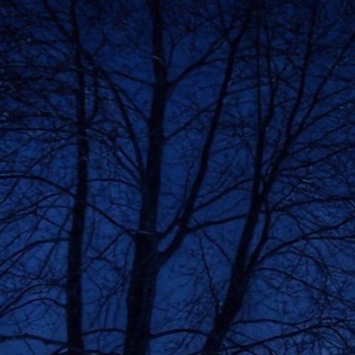 i've been dead before