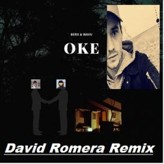 Berx & Wavu - Oke ( David Romera Remix )