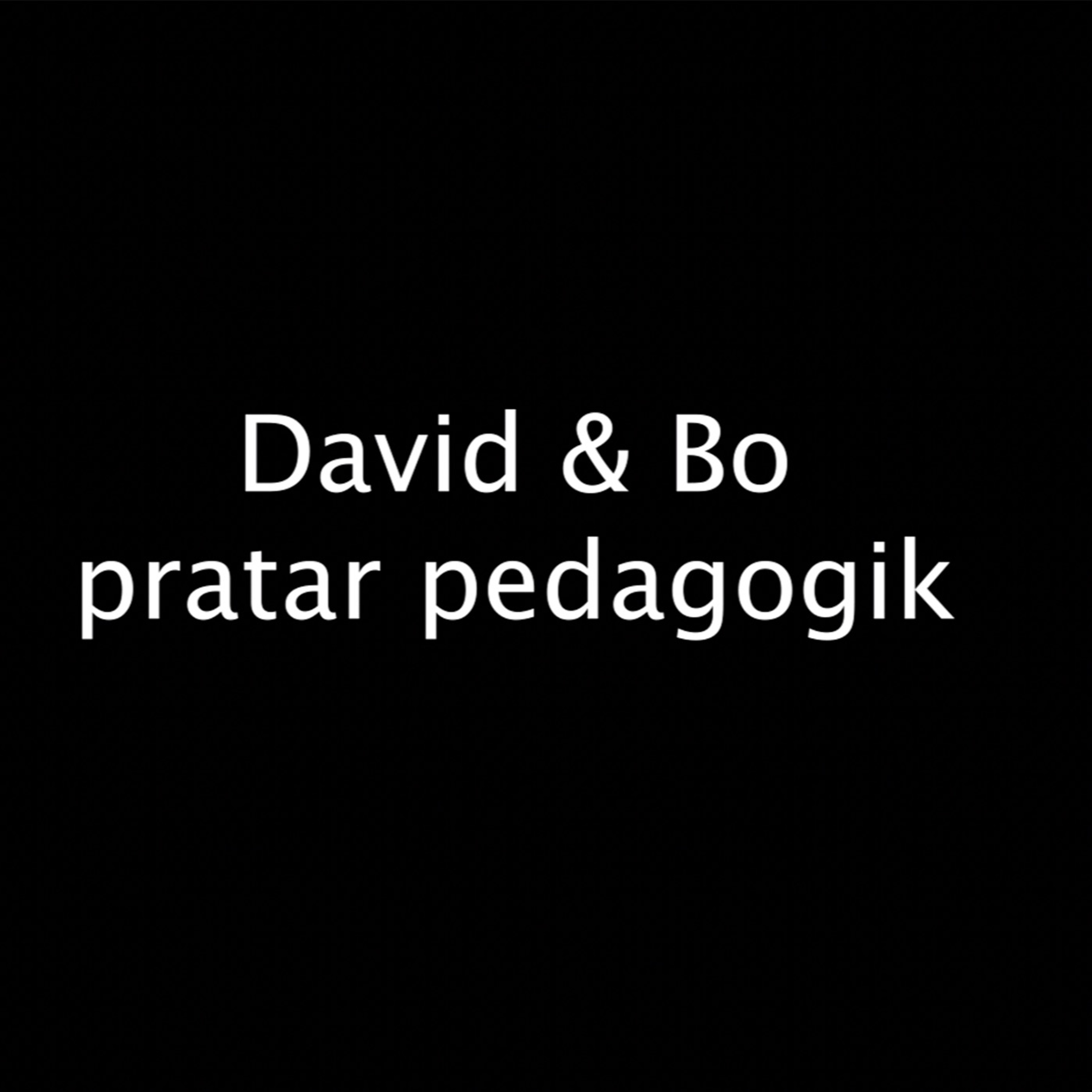 David & Bo Pratar Pedagogik