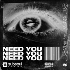 Stray Beast - Need You (SSR008)