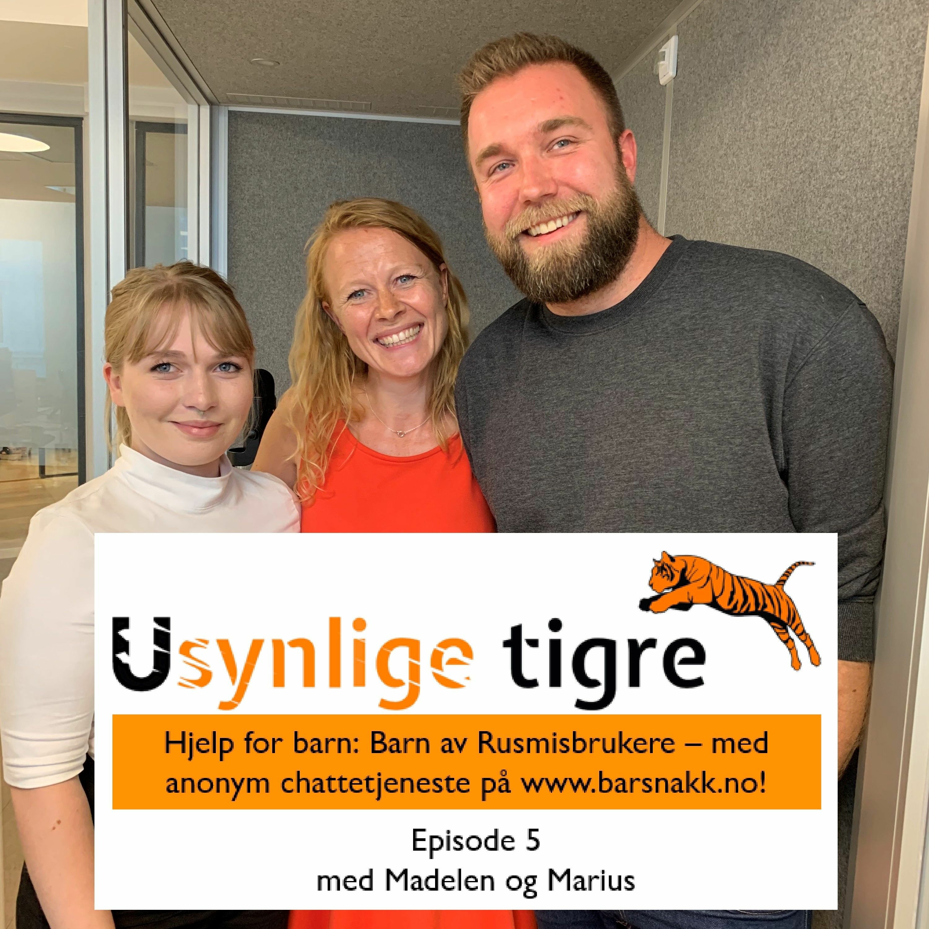 Usynlige tigre-podden