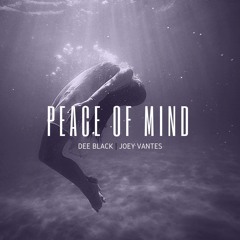 Peace of Mind feat Joey Vantes