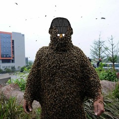 Bee Drowns In The Honey