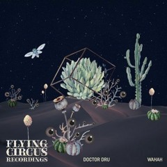 PREMIERE : Doctor Dru - Soharab [Flying Circus Recordings]