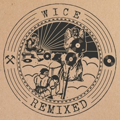 Snippets: STEIN004 Wice - Remixed