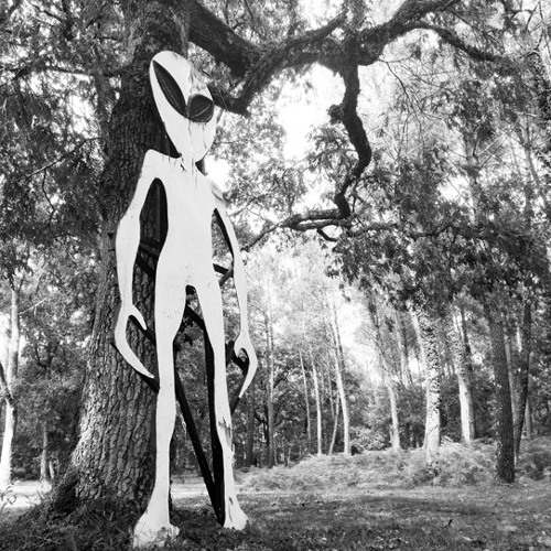 «hard» -un peu de tout-tek sympa,plus enclenché«genre:tribe hard,+core.Puis speedcore pour les plus acharnés,+déglinguos 2la vie,.😓😓😬 en bpm,
