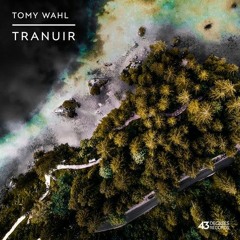 Tomy Wahl - Distorted Feelings
