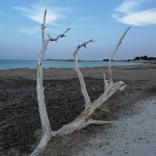 Spaetkauf #13 Capo Est //theThursdayNightShow.com