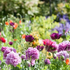 It's a Life of Enjoying God