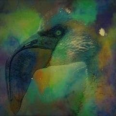 Dazzle - LimitedEdition Radio Show September