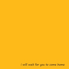 i will wait for you to come home (feat. Samer Bakri)