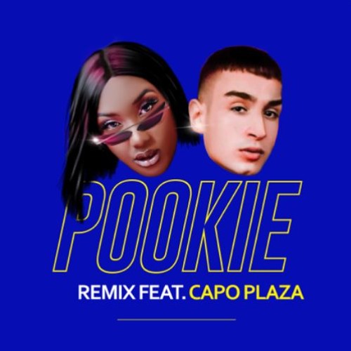 Stream Aya Nakamura, Capo Plaza - Pookie (Nino Di Grazia Extended) by Nino  Di Grazia DJ | Listen online for free on SoundCloud