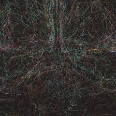 Transparent Mind
