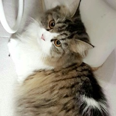 You_Ten2five (short cover)