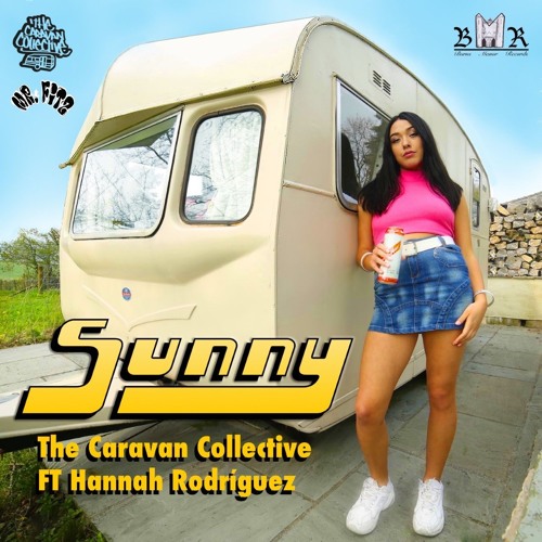 Sunny - B-Side (Mr Fitz Remix)FREE DOWNLOAD