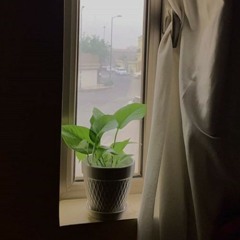 وحدها أمي - شوكة أخرى تنبت في الظل - أحمد سالم