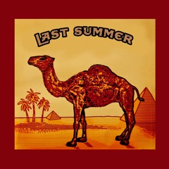 Last Summer (prod. 333sebby)