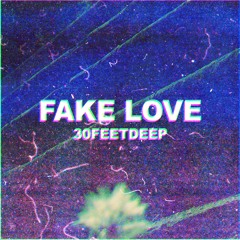Fake Love (Prod. Hollow Day)