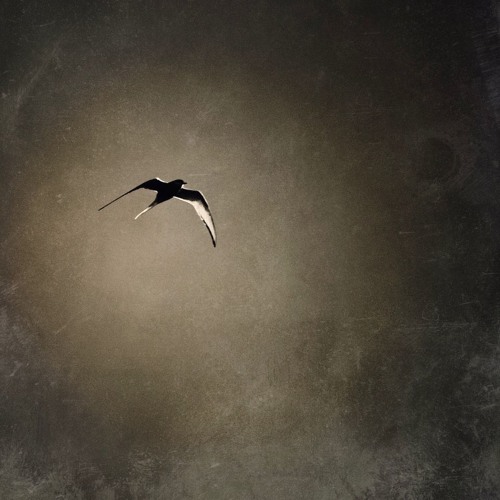 Deep Breakfast 029 - todos