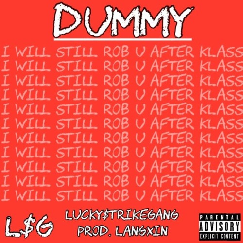 LSG-  DUMMY