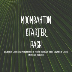 Moombahton Starter Pack [FREE DOWNLOAD]