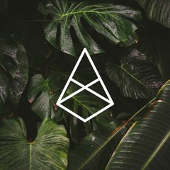 Ben Beckman - Indok