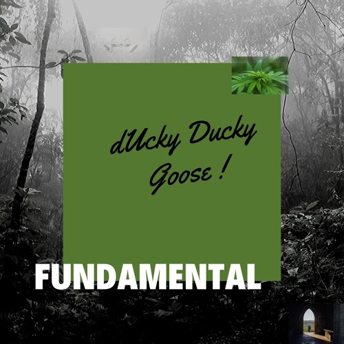 dUcky Ducky Goose !