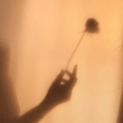 Bring Me Flowers - Ashton Edminster