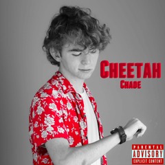 Cheetah (prod. getzh)