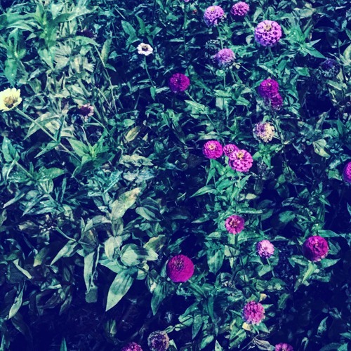 Discarded Moment (Sleep)