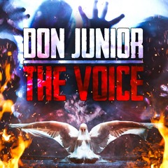 The Voice