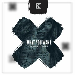 Kay Evin Music - What you want Instrumental Beat