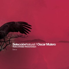Oscar Mulero - Seleccion Natural Parte 4 Original Mix
