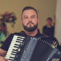 BORKO RADIVOJEVIC & Orkestar Mladena Spasojevica & PANTERI - KOLO