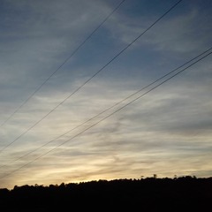 Cheerful, But Then You Mentioned It