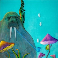 Walrus