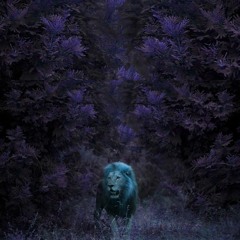 KING OF THE JUNGLE (PROD. LIL ALTIMA)