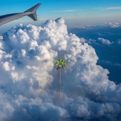 AC13 X SCAR X JAY BANDO - YEA