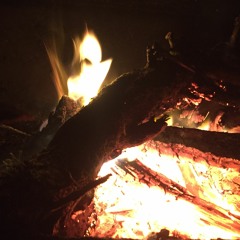 Juró el Rey David E #381, I #1248 (w/ E. E)