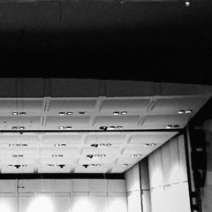 dungeon plants [prod. rookie 1978]