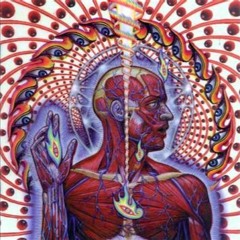 Tool - The Patient (cover)