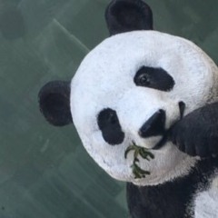 kurage seek room - 昨晩のこと(内貴伸子remix)