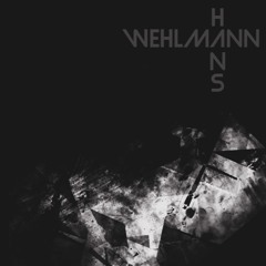 Wehlmann & Hans - Take Care