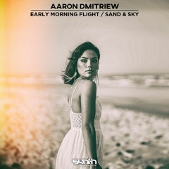Aaron Dmitriew - Early Morning Flight / Sand & Sky [Synth Collective]