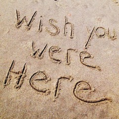 Pink Floyd - Wish You Were Here by Mike Puskas & Riki Buckingham