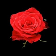 Dj225 Biggie Smalls - Everyday Struggle Remix